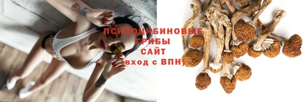 дживик Струнино